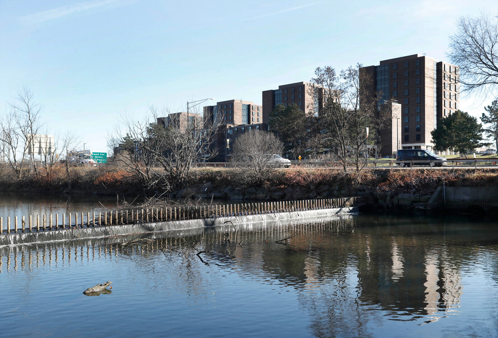 Scajaquada Creek (copy)